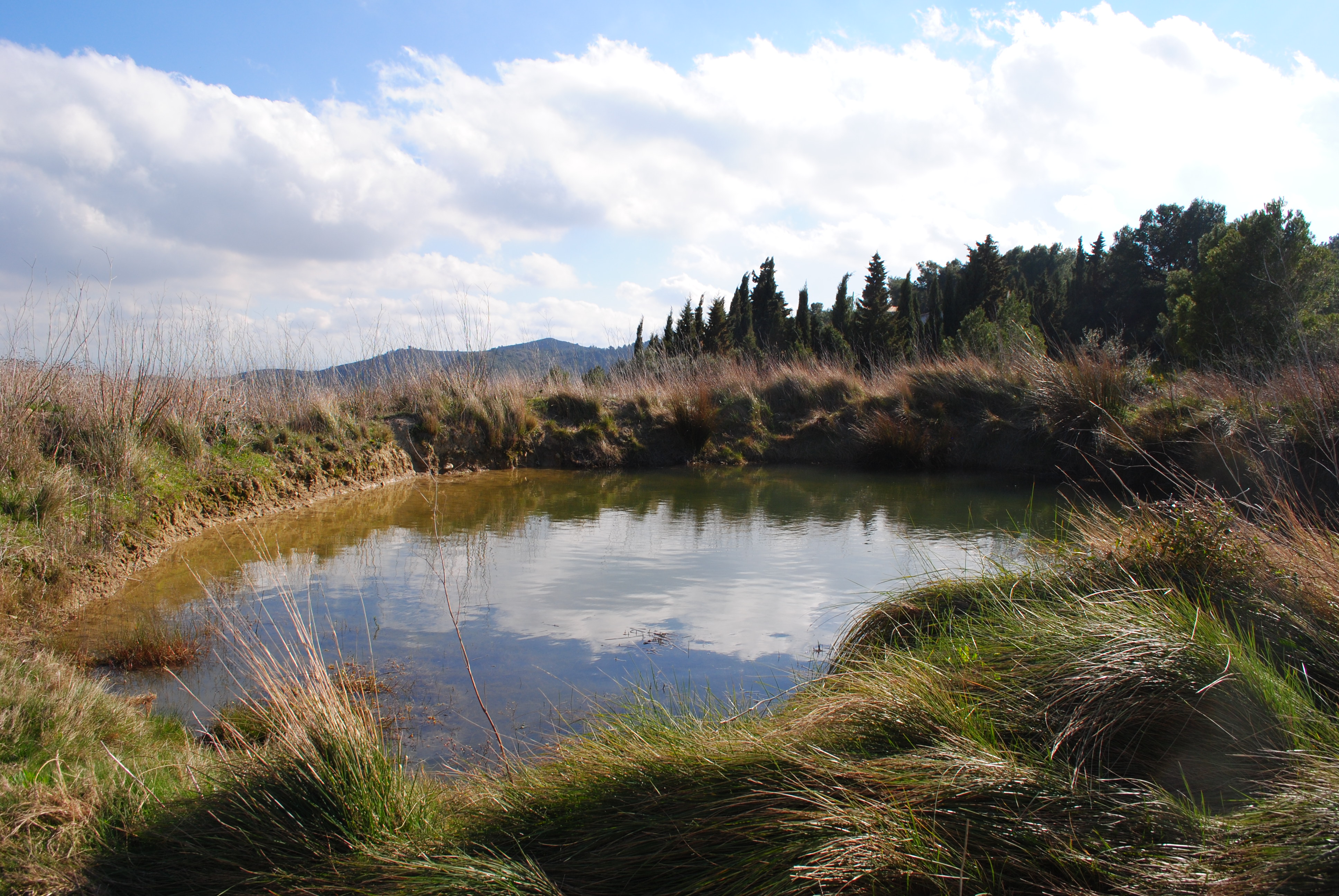 DSC_0752.JPG