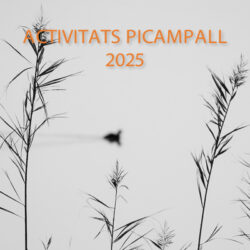 Calendari PICAMPALL 2025