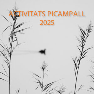 Calendari PICAMPALL 2025