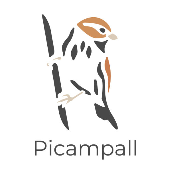 Soci Picampall