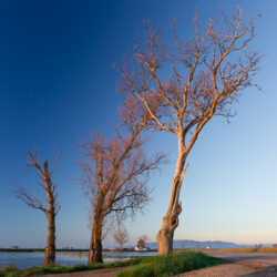 Taller de fotografia creativa en la naturaleza (en Castellano)