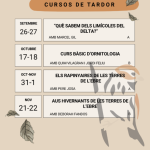 Agenda de tardor