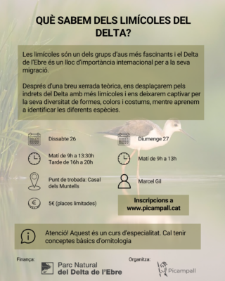 "Què sabem dels limícoles del Delta?" - Imatge 2