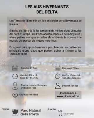 Curs d'aus hivernants de les Terres de l'Ebre - Imatge 2